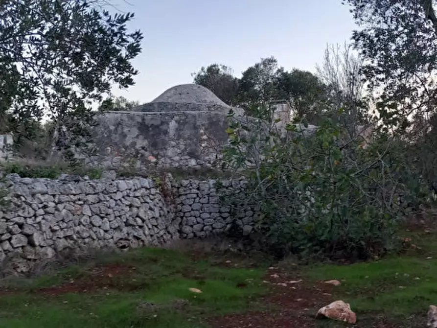 Immagine 22 di Rustico / casale in vendita  in C.da Sardella a San Michele Salentino