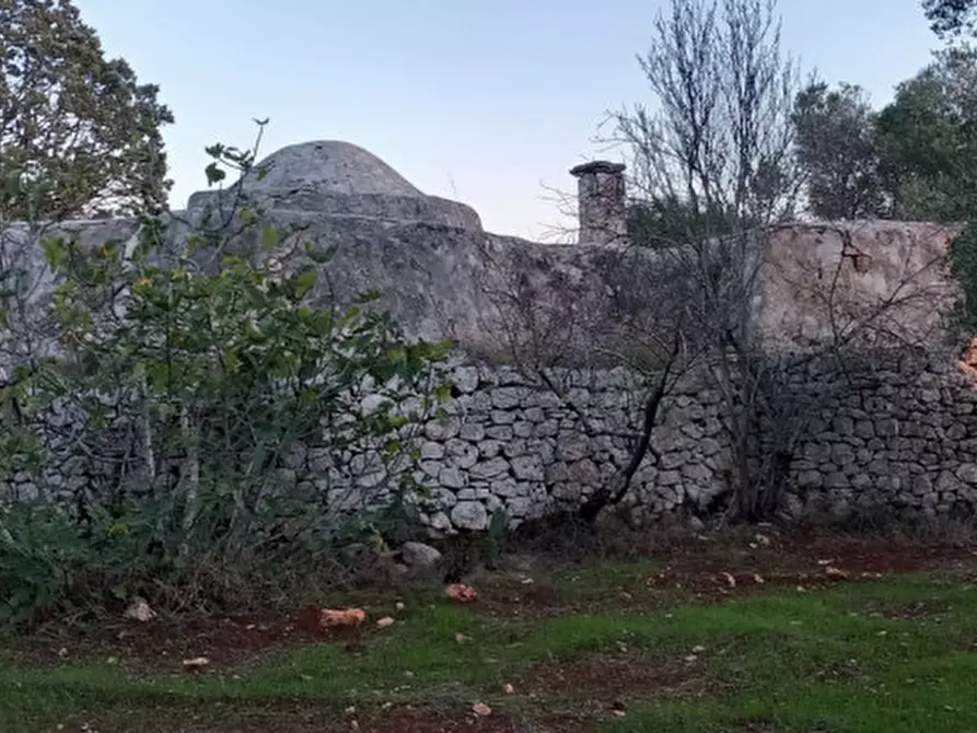 Immagine 23 di Rustico / casale in vendita  in C.da Sardella a San Michele Salentino