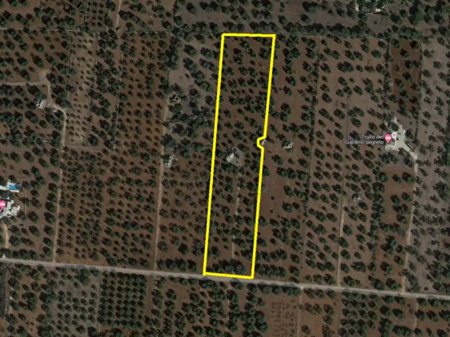 Immagine 26 di Rustico / casale in vendita  in C.da Sardella a San Michele Salentino