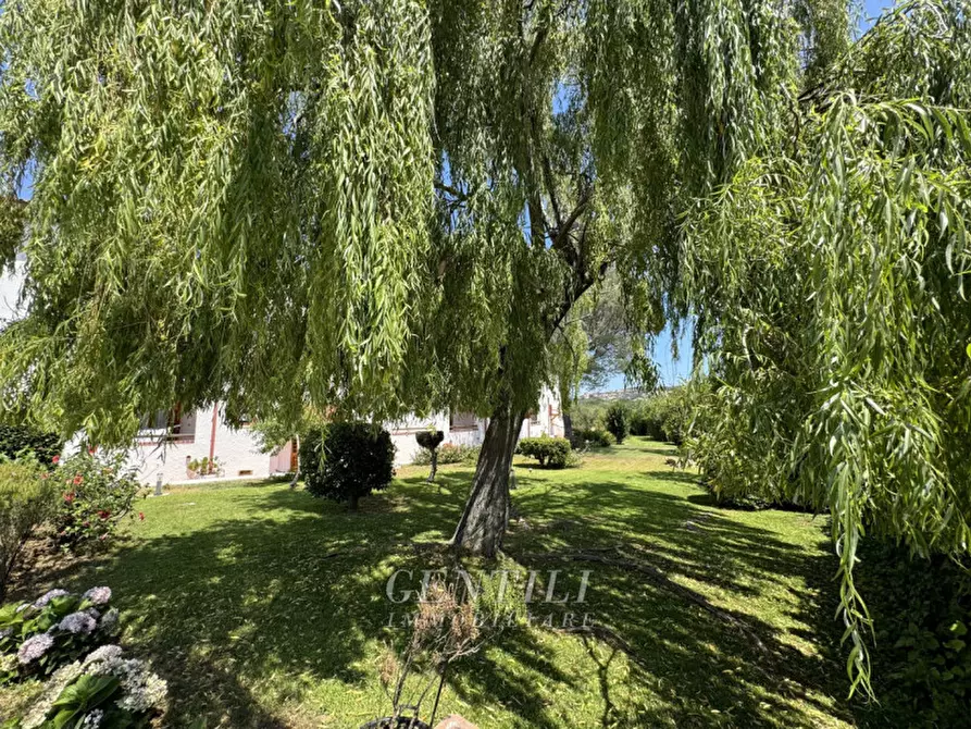 Immagine 21 di Appartamento in vendita  in Via Cala Bitta a Arzachena