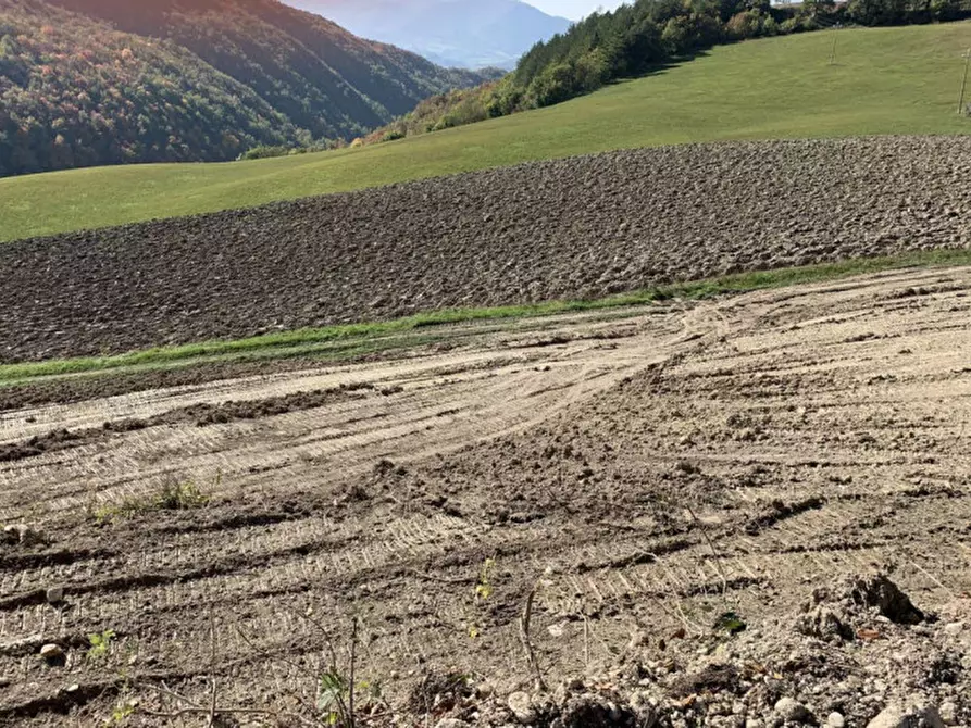 Immagine 2 di Terreno in vendita  in Località Monte Martello, Strada Pigno, N. snc a Cagli