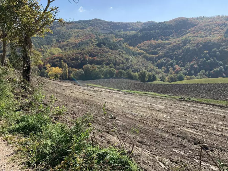 Immagine 3 di Terreno in vendita  in Località Monte Martello, Strada Pigno, N. snc a Cagli