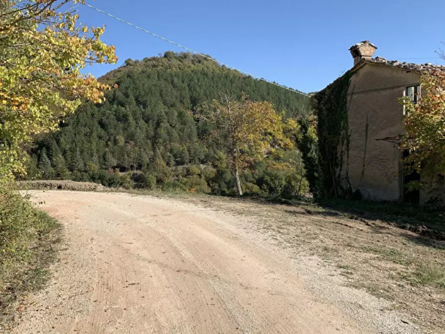 Immagine 4 di Terreno in vendita  in Località Monte Martello, Strada Pigno, N. snc a Cagli
