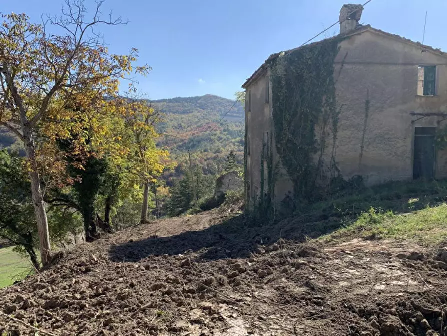 Immagine 5 di Terreno in vendita  in Località Monte Martello, Strada Pigno, N. snc a Cagli