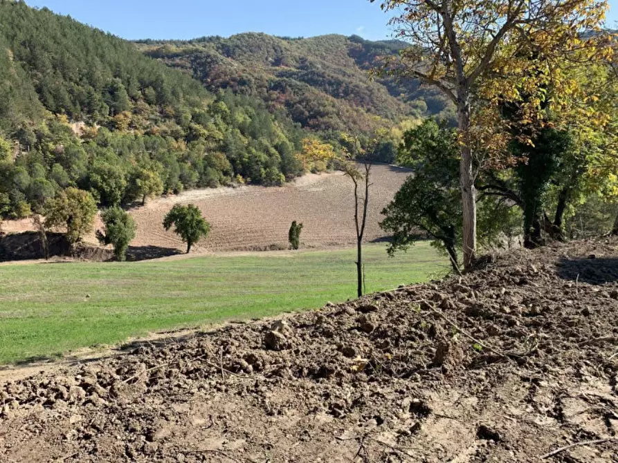 Immagine 6 di Terreno in vendita  in Località Monte Martello, Strada Pigno, N. snc a Cagli