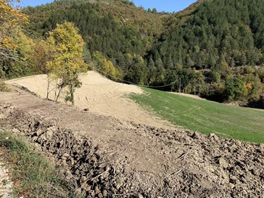 Immagine 7 di Terreno in vendita  in Località Monte Martello, Strada Pigno, N. snc a Cagli
