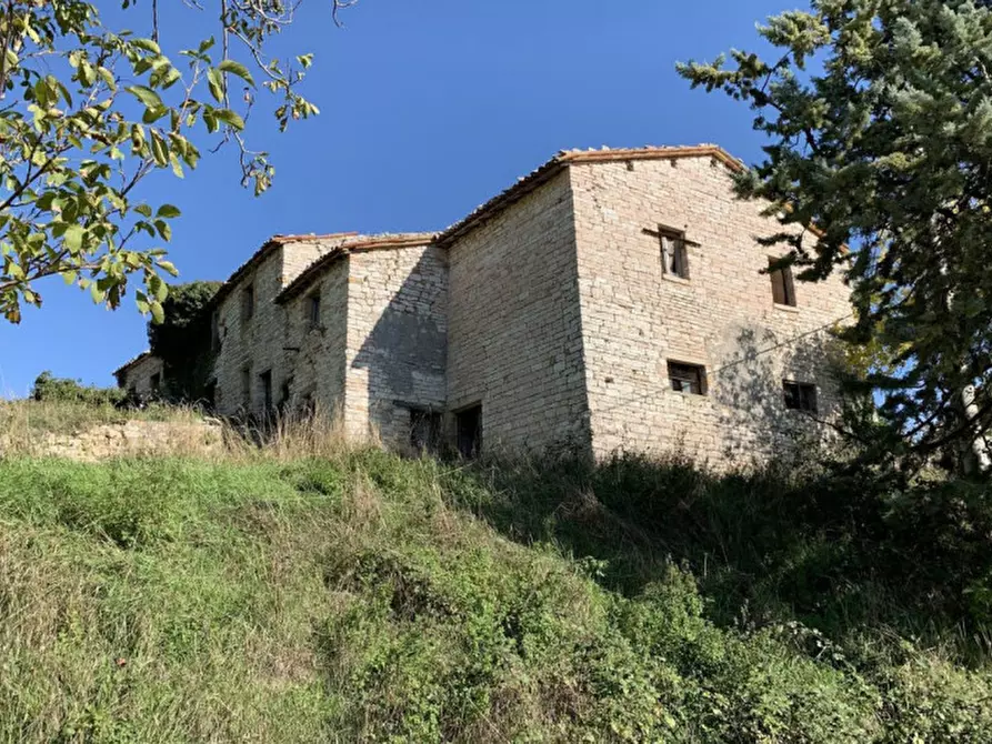 Immagine 8 di Terreno in vendita  in Località Monte Martello, Strada Pigno, N. snc a Cagli
