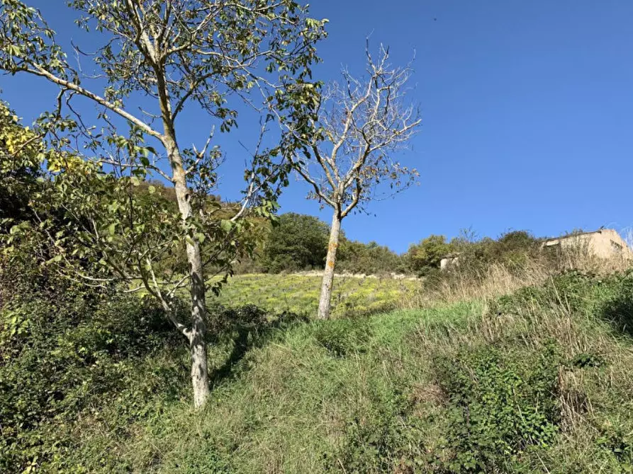 Immagine 9 di Terreno in vendita  in Località Monte Martello, Strada Pigno, N. snc a Cagli