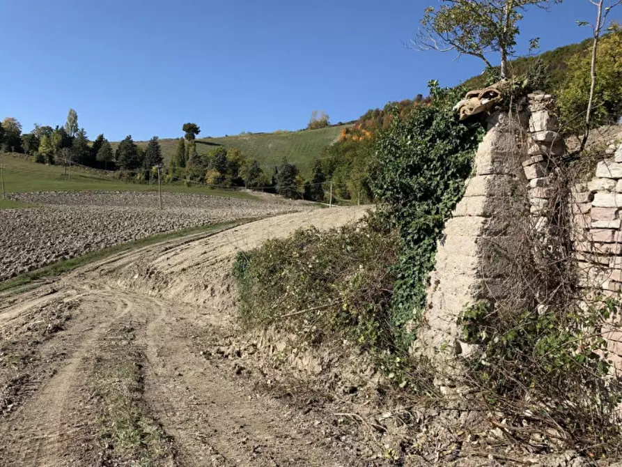 Immagine 10 di Terreno in vendita  in Località Monte Martello, Strada Pigno, N. snc a Cagli