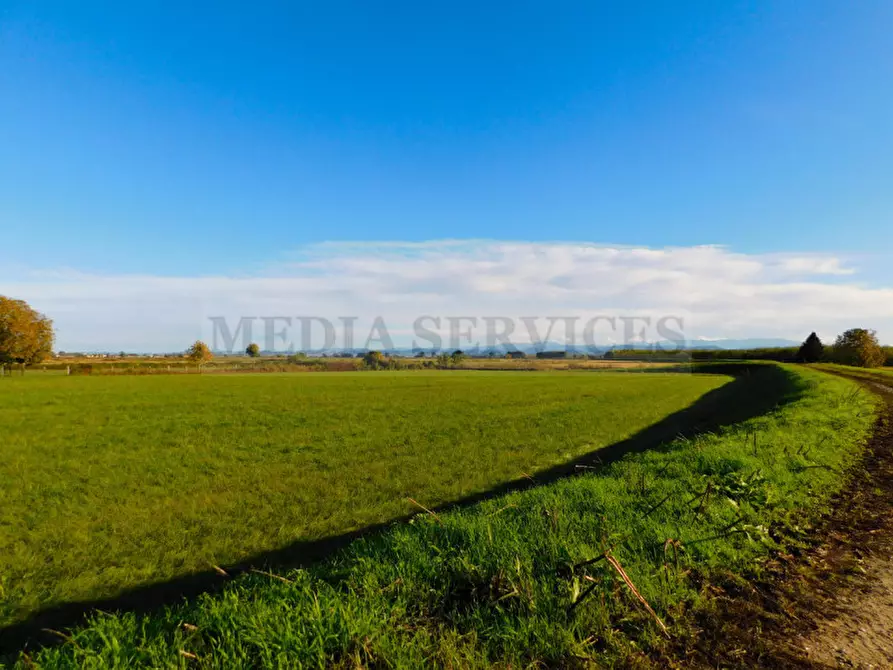 Immagine 32 di Casa indipendente in vendita  in via Roma n° 35 a Gropello Cairoli