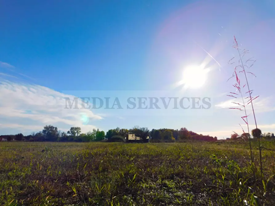 Immagine 33 di Casa indipendente in vendita  in via Roma n° 35 a Gropello Cairoli