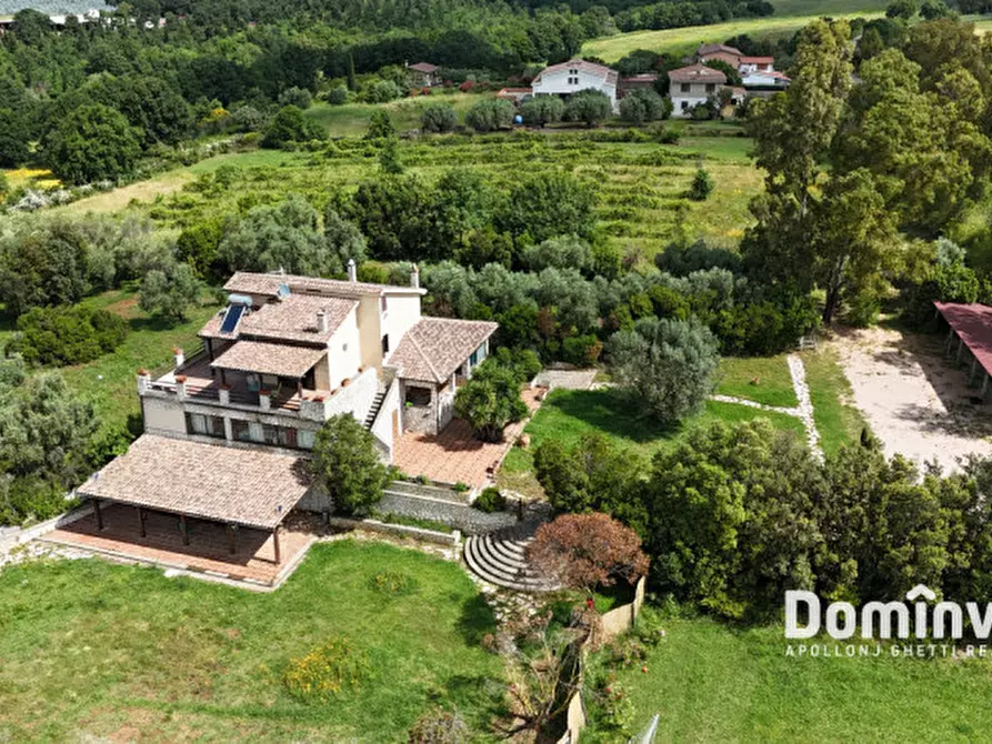 Immagine 5 di Villa in vendita  in Strada Poggio pelato a Capalbio