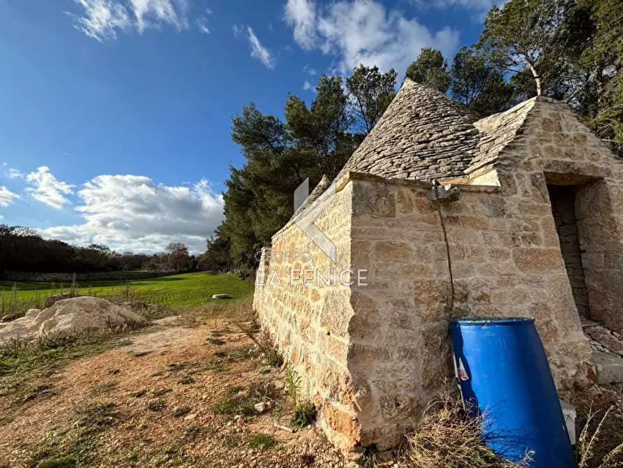 Immagine 3 di Rustico / casale in vendita  a Martina Franca