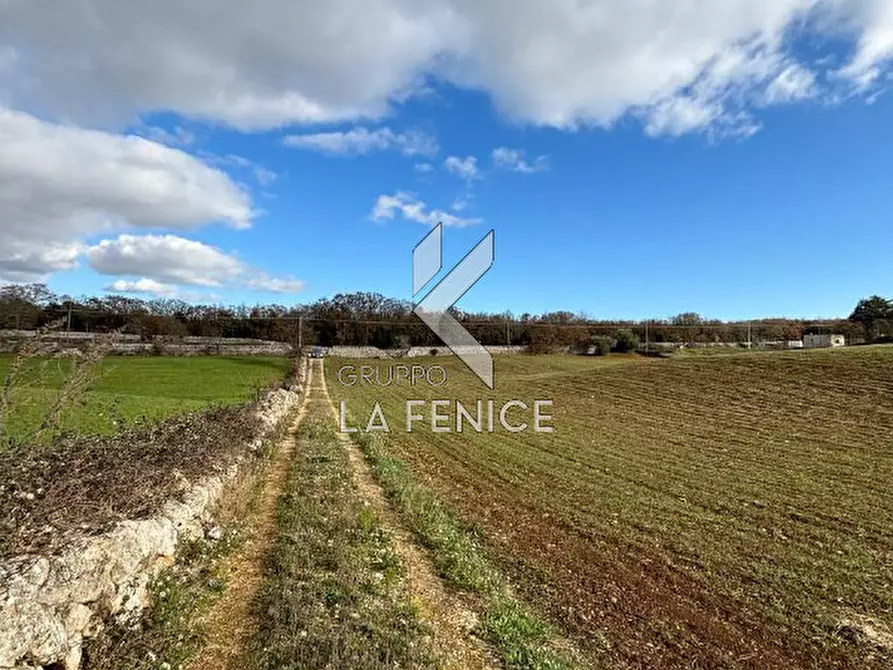 Immagine 4 di Rustico / casale in vendita  a Martina Franca