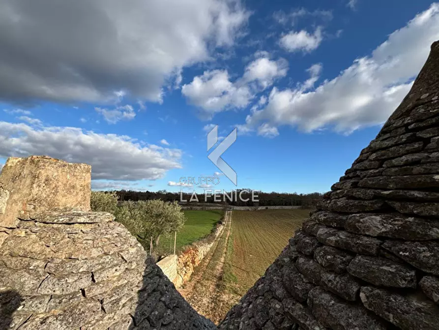 Immagine 5 di Rustico / casale in vendita  a Martina Franca