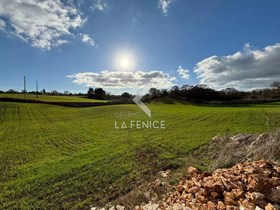 Immagine 6 di Rustico / casale in vendita  a Martina Franca