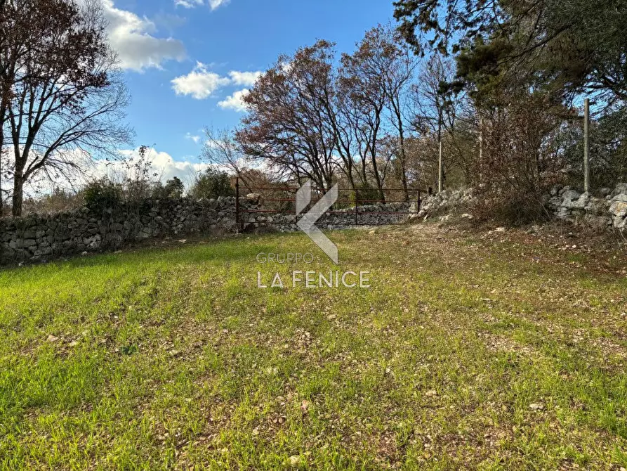 Immagine 7 di Rustico / casale in vendita  a Martina Franca