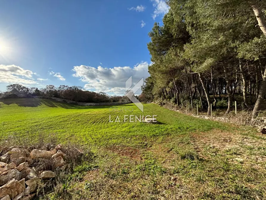 Immagine 8 di Rustico / casale in vendita  a Martina Franca