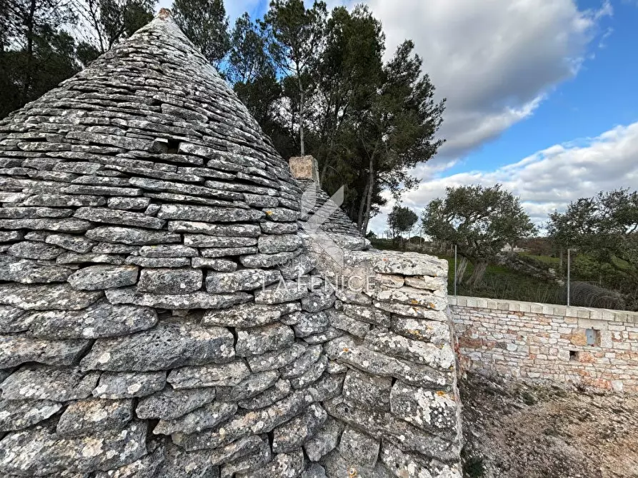 Immagine 9 di Rustico / casale in vendita  a Martina Franca