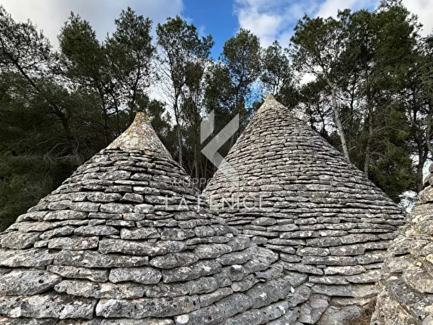 Immagine 10 di Rustico / casale in vendita  a Martina Franca
