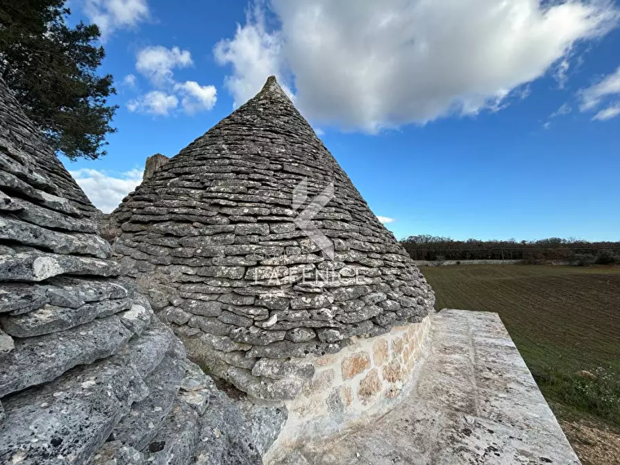 Immagine 11 di Rustico / casale in vendita  a Martina Franca