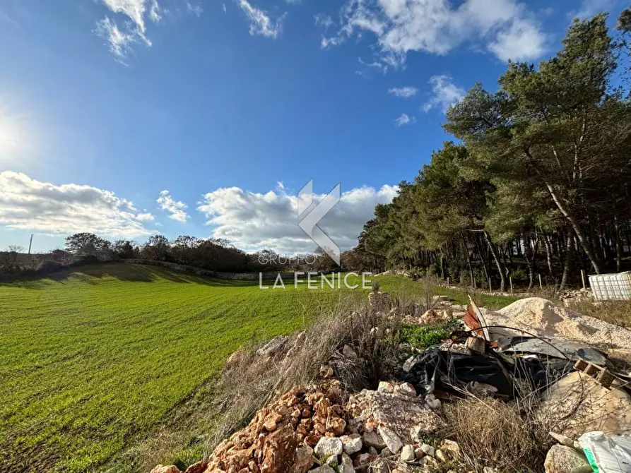 Immagine 14 di Rustico / casale in vendita  a Martina Franca
