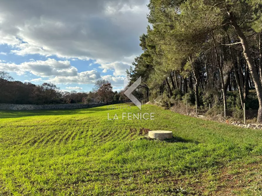 Immagine 15 di Rustico / casale in vendita  a Martina Franca