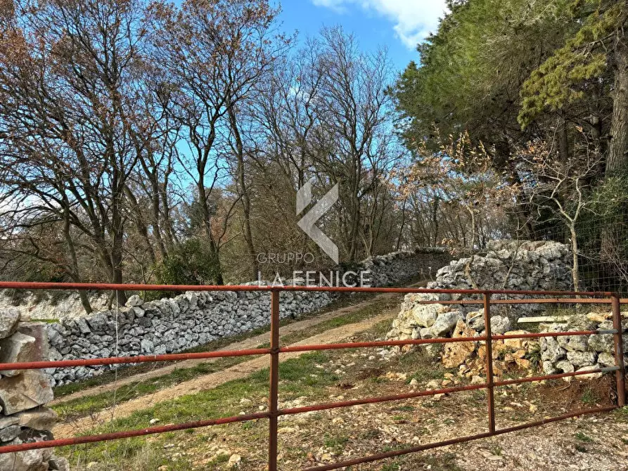 Immagine 16 di Rustico / casale in vendita  a Martina Franca