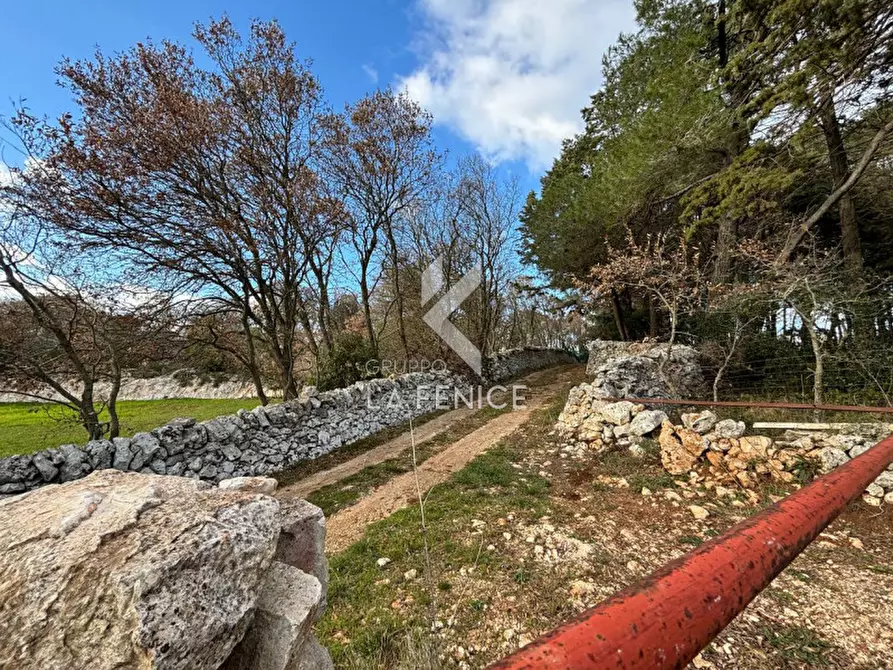 Immagine 17 di Rustico / casale in vendita  a Martina Franca