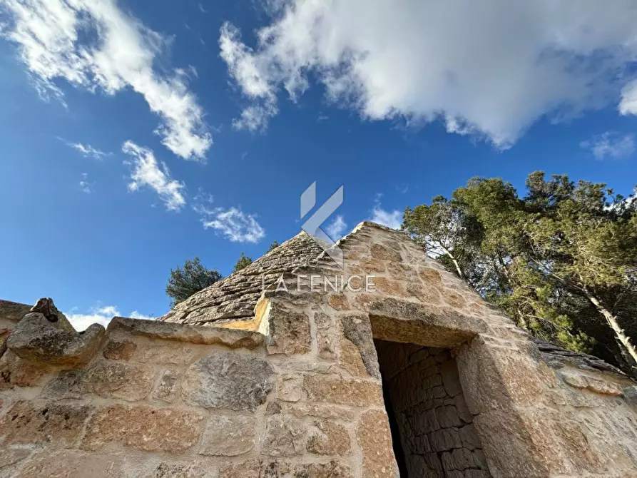 Immagine 19 di Rustico / casale in vendita  a Martina Franca