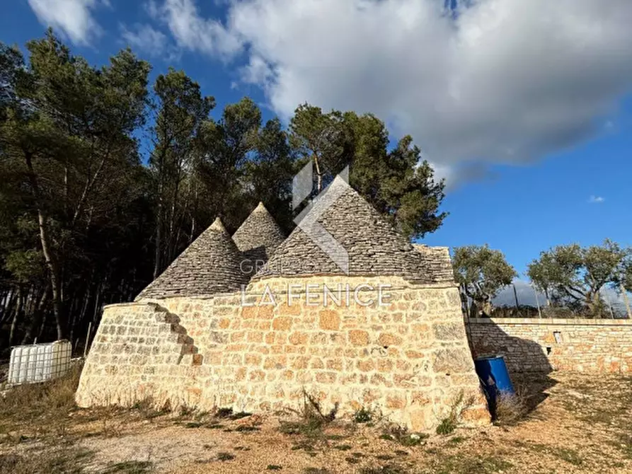 Immagine 31 di Rustico / casale in vendita  a Martina Franca