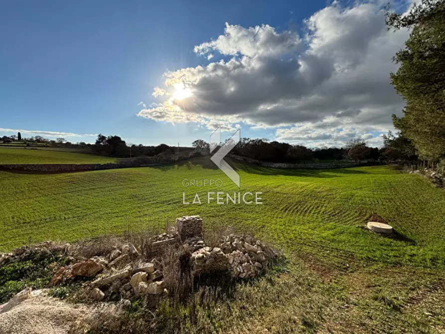 Immagine 34 di Rustico / casale in vendita  a Martina Franca
