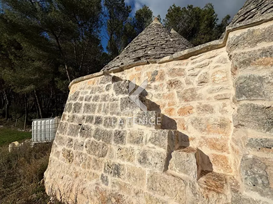 Immagine 37 di Rustico / casale in vendita  a Martina Franca