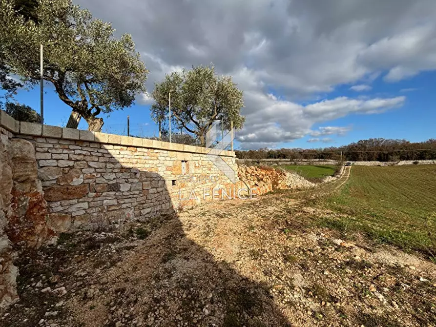 Immagine 38 di Rustico / casale in vendita  a Martina Franca