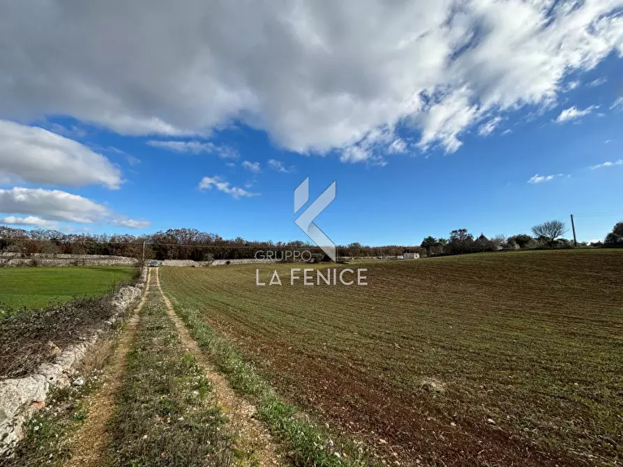 Immagine 39 di Rustico / casale in vendita  a Martina Franca