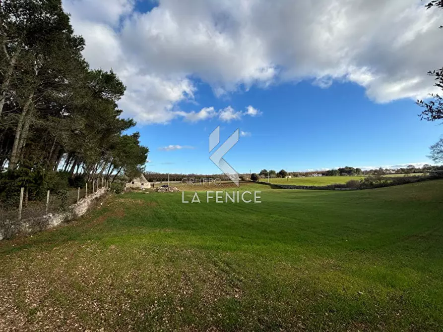 Immagine 40 di Rustico / casale in vendita  a Martina Franca