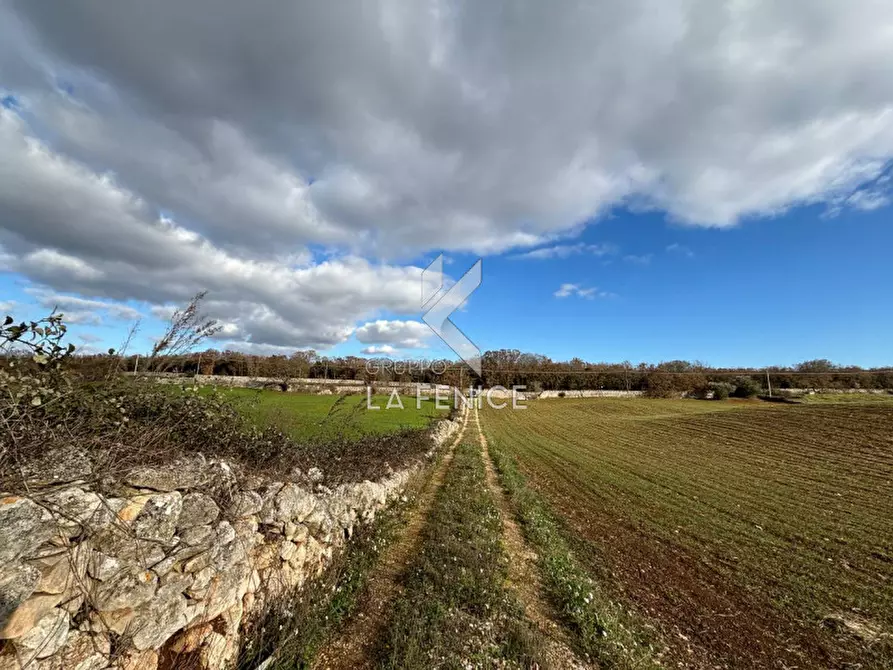 Immagine 41 di Rustico / casale in vendita  a Martina Franca