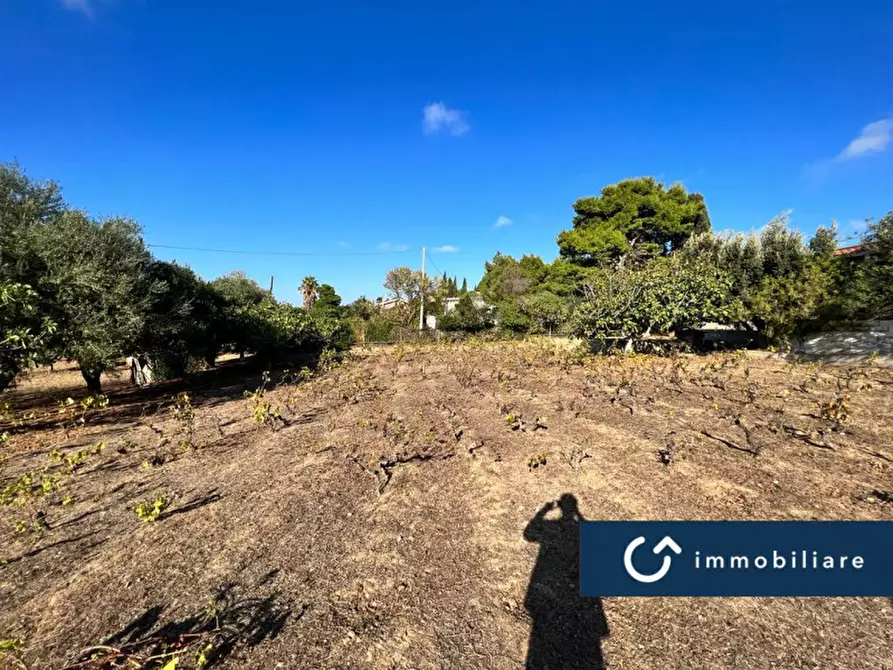 Immagine 19 di Villa in vendita  a Sassari