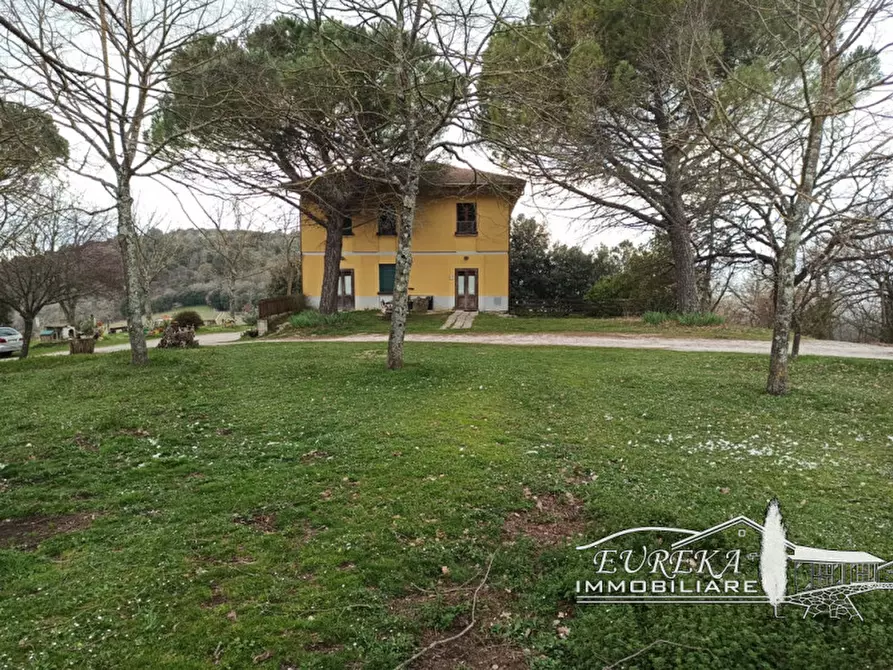 Immagine 3 di Agriturismo in vendita  in orvieto località capretta a Orvieto