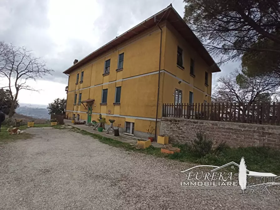 Immagine 4 di Agriturismo in vendita  in orvieto località capretta a Orvieto