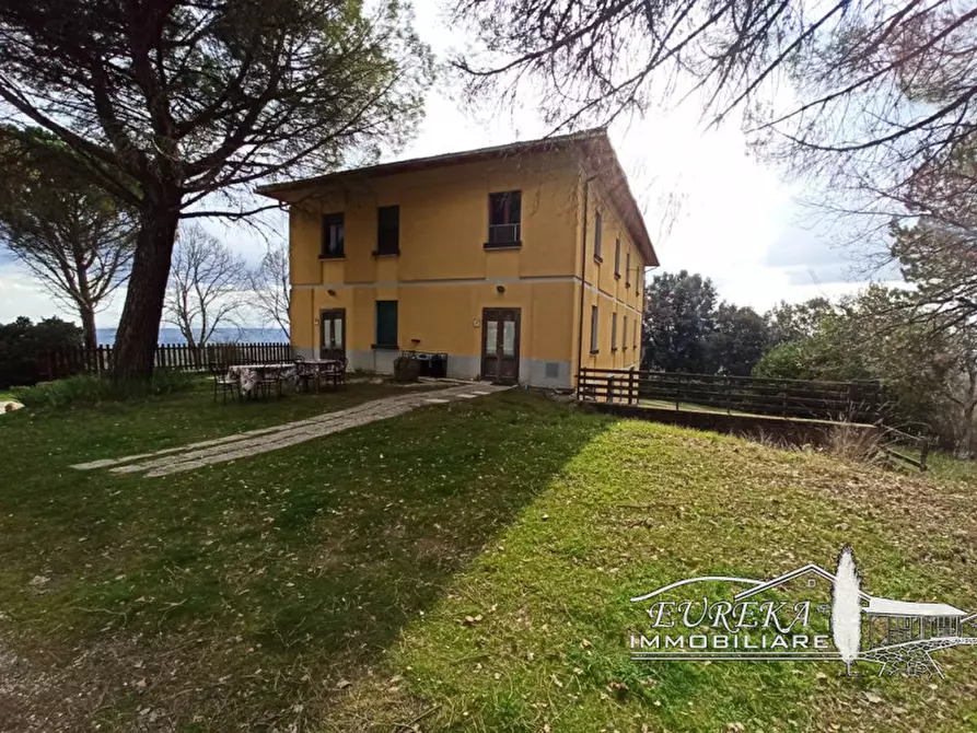 Immagine 5 di Agriturismo in vendita  in orvieto località capretta a Orvieto