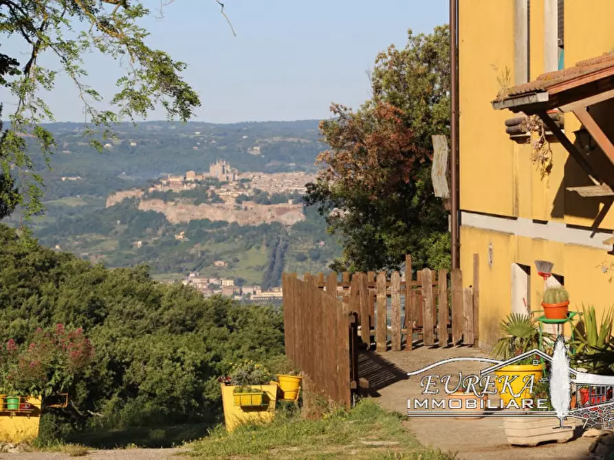 Immagine 6 di Agriturismo in vendita  in orvieto località capretta a Orvieto
