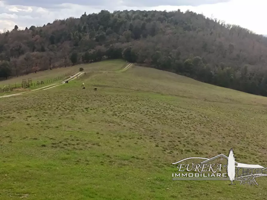Immagine 8 di Agriturismo in vendita  in orvieto località capretta a Orvieto