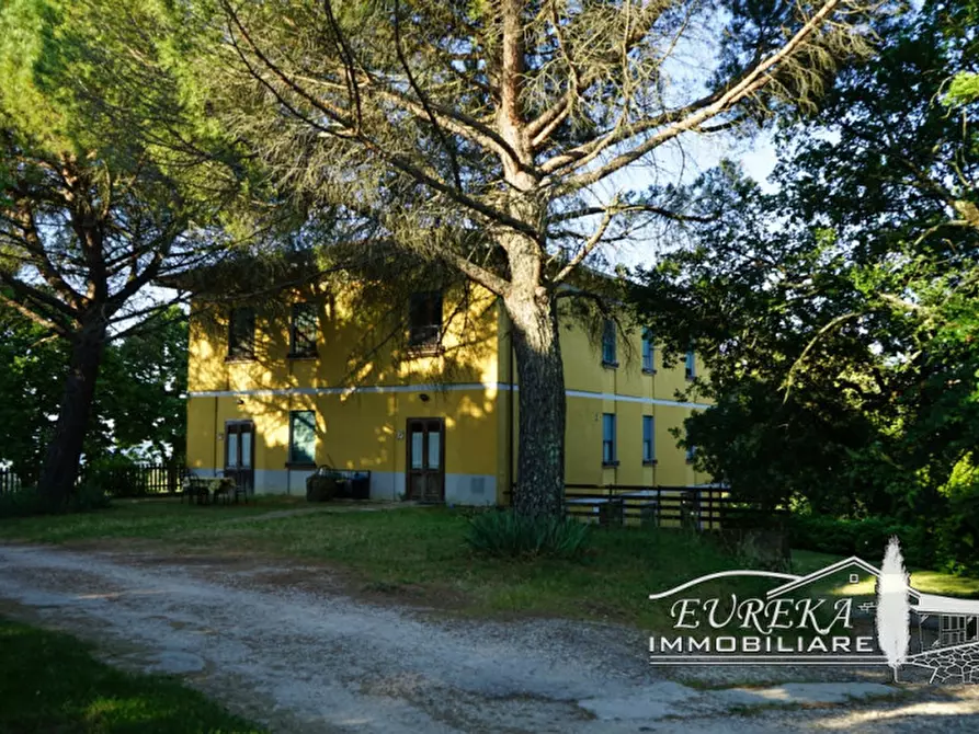 Immagine 9 di Agriturismo in vendita  in orvieto località capretta a Orvieto