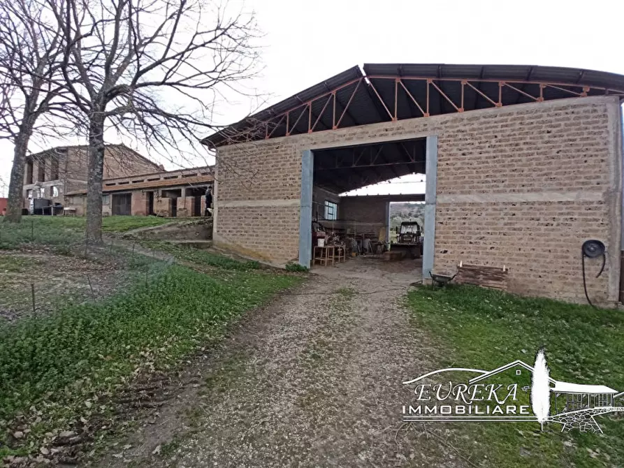 Immagine 10 di Agriturismo in vendita  in orvieto località capretta a Orvieto