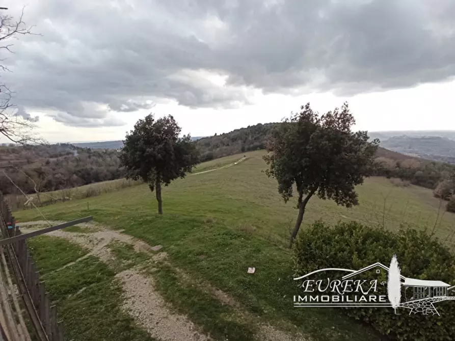 Immagine 32 di Agriturismo in vendita  in orvieto località capretta a Orvieto