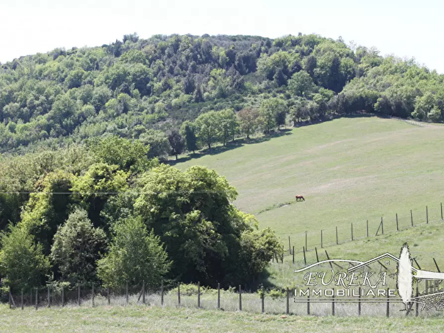Immagine 33 di Agriturismo in vendita  in orvieto località capretta a Orvieto