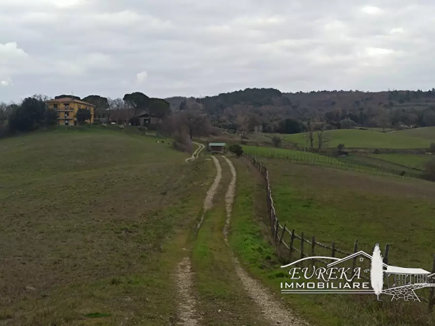 Immagine 34 di Agriturismo in vendita  in orvieto località capretta a Orvieto