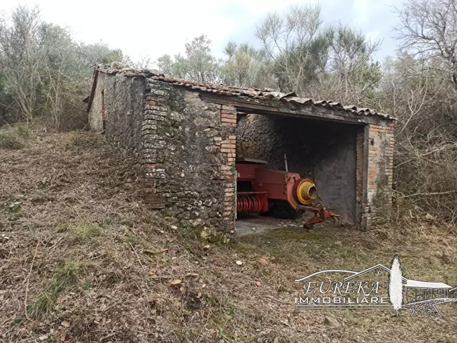 Immagine 35 di Agriturismo in vendita  in orvieto località capretta a Orvieto