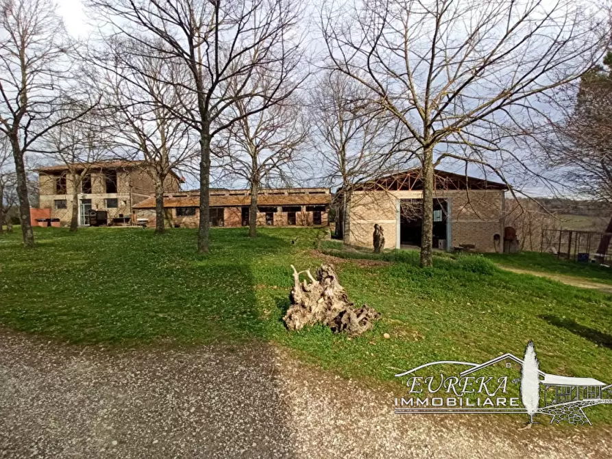 Immagine 36 di Agriturismo in vendita  in orvieto località capretta a Orvieto